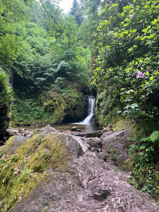 The Geroldsauer waterfall in the Black Forest