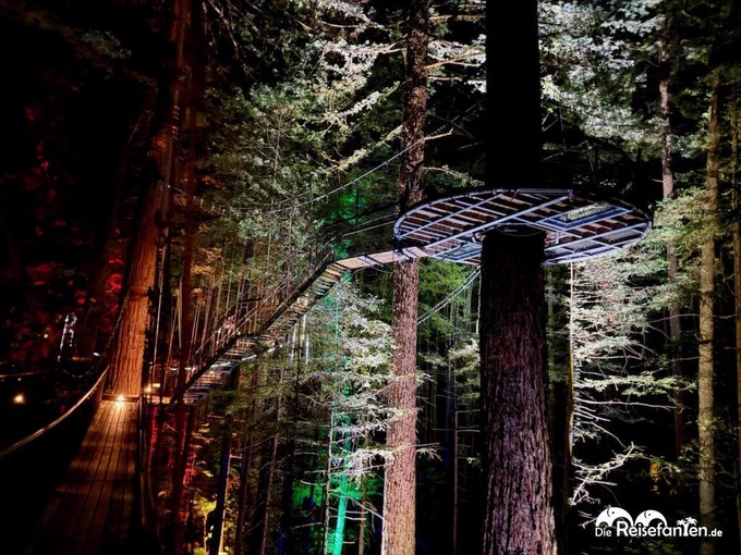 Redwoods Treewalk Rotorua (19)