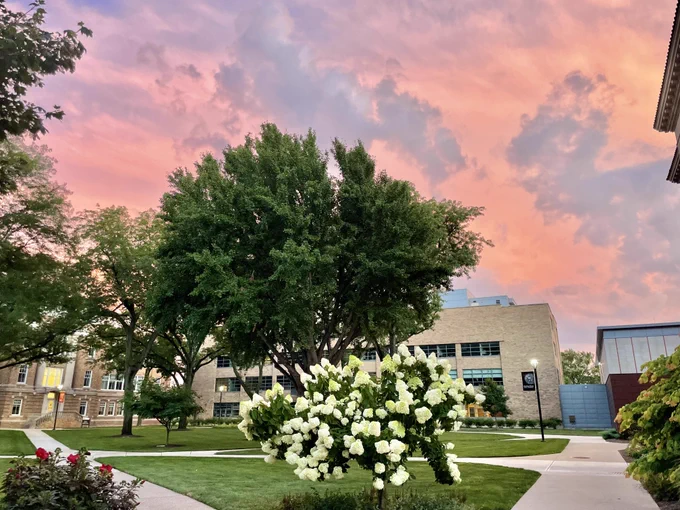 Sunset shown above blooming flowers on BGSU campus