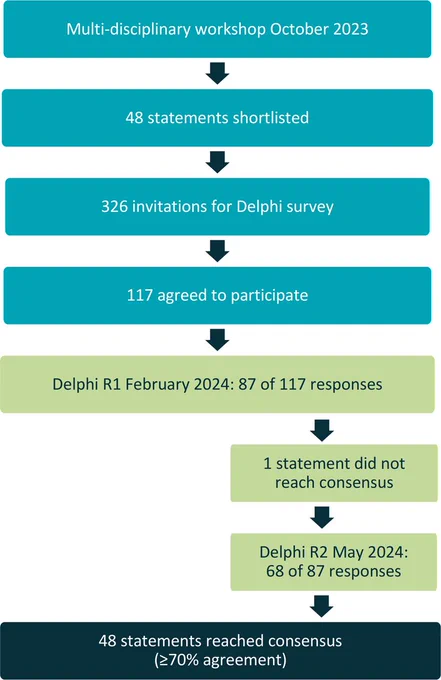 The Delphi consensus process.