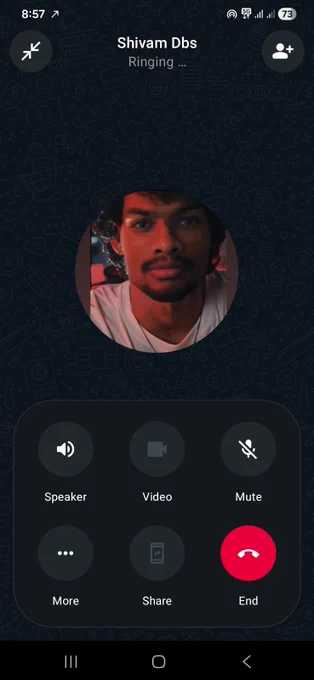 Call WhatsApp Call