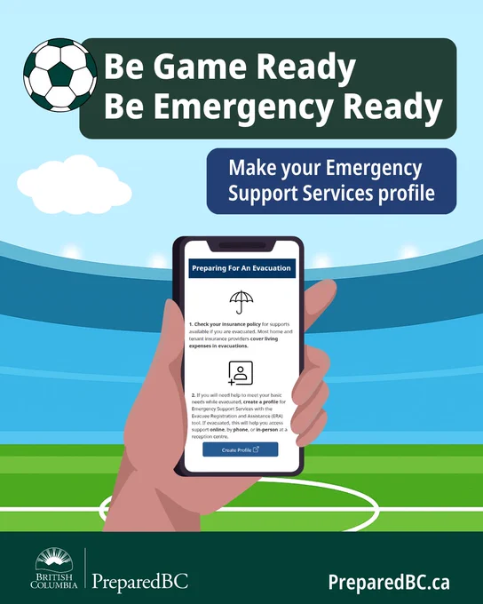 Person holding a cellphone with Emergency Support Services website.