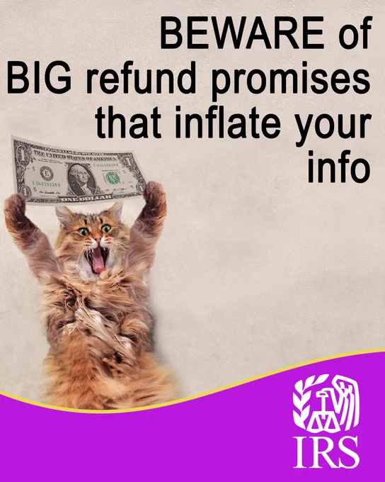 A cat holding up a one-dollar bill. Text: BEWARE of BIG refund promises that inflate your info. IRS logo.