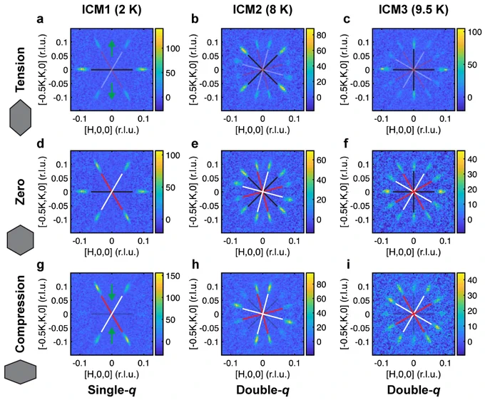 Graphic showing SANS patterns. Each column shows an incommensurate magnetic phase with the first on the left, second in the middle, and third on the right. The top row shows SANS patterns measured under tension along the vertical direction. The middle row shows SANS patterns measured with no applied strain. The bottom row shows SANS patterns measured with uniaxial compression along the vertical access. The domain structure for each is shown by lines and crossed lines indicate a domain of double-q states.