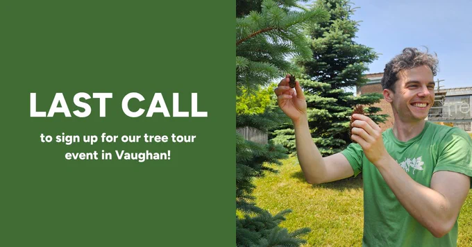 LEAF staff member leading a tree tour