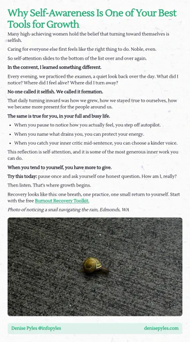 Screenshot essay titled 'Why Self-Awareness Is One of Your Best Tools for Growth'. The essay discusses the common belief among high-achieving women that self-care is selfish, contrasting it with the author's experience in a convent where self-reflection was viewed as a form of personal growth and formation. It emphasizes the importance of pausing to recognize one's feelings, protect energy, and counteract self-criticism as acts of generosity towards oneself. The author encourages readers to ask themselves an honest question about their well-being to initiate growth. The essay concludes by promoting a free Burnout Recovery Toolkit. The image includes a photo of a snail navigating the rain, symbolizing careful attention to self.