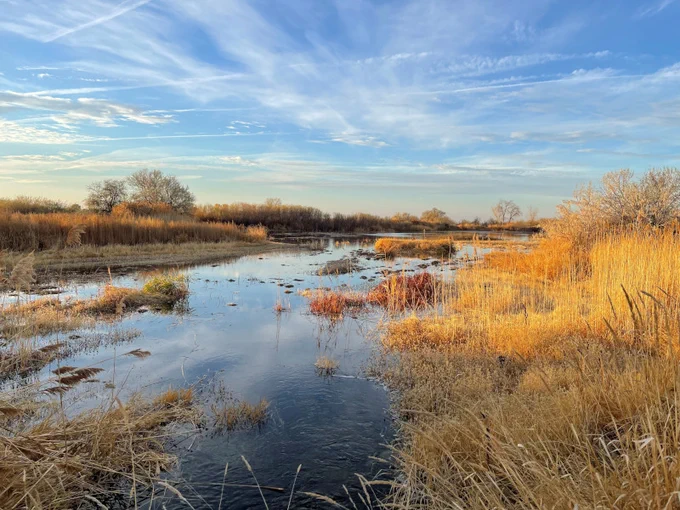 Pond under blue skies with sparse clouds, and sun hitting autumn colored vegetation.