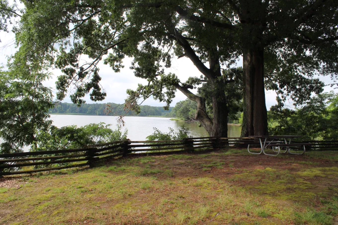 Large trees provide shade over a picnic table near a calm lake with a wooden fence along the shoreline.