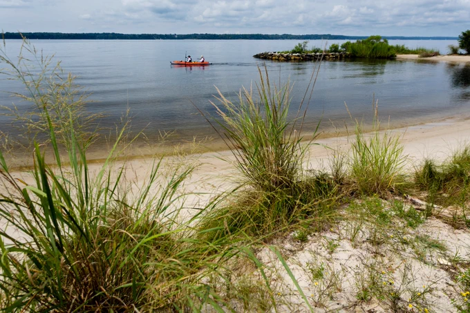 Two people paddle a red canoe on calm lake waters near a sandy beach with tall grasses in the foreground.