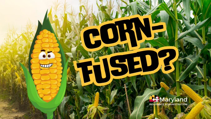 Cartoon corn cob with a smiling face and eyes over a cornfield background. Bold text reads "CORN-FUSED?"