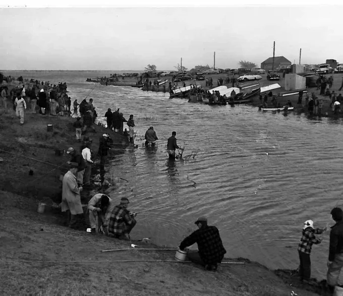Historic black-and-white photograph showing dozens of people gathered along the banks of a narrow waterway or canal. Some individuals stand or wade in the water while others sit or watch from the sloped shoreline. Small structures, tents, and utility poles are visible in the background, suggesting a community or worksite near the water. The image appears to document a public gathering or activity along the canal.