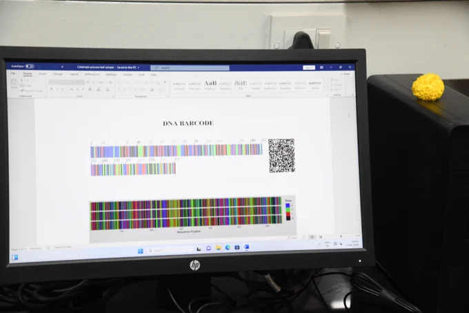 The DNA fingerprinting and barcoding facility was established to provide fingerprinting for the herbal plant drugs with the help of the inhouse instruments like Polymerase Chain Reaction, Agarose gel Electrophoresis and Gel documentation system. The facility has identified DNA marker-based technology for establishing and strengthening the quality of the herbal plant drugs. 