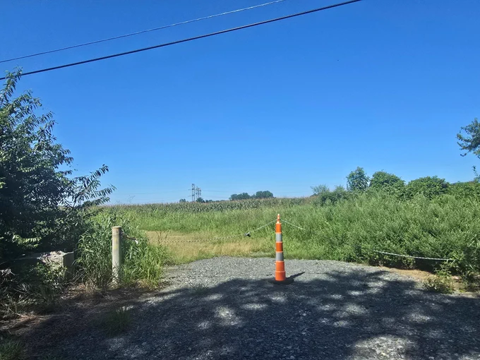 A gravel path blocked by an orange traffic cone leads to a grassy field under a clear blue sky, with trees and shrubs on either side.