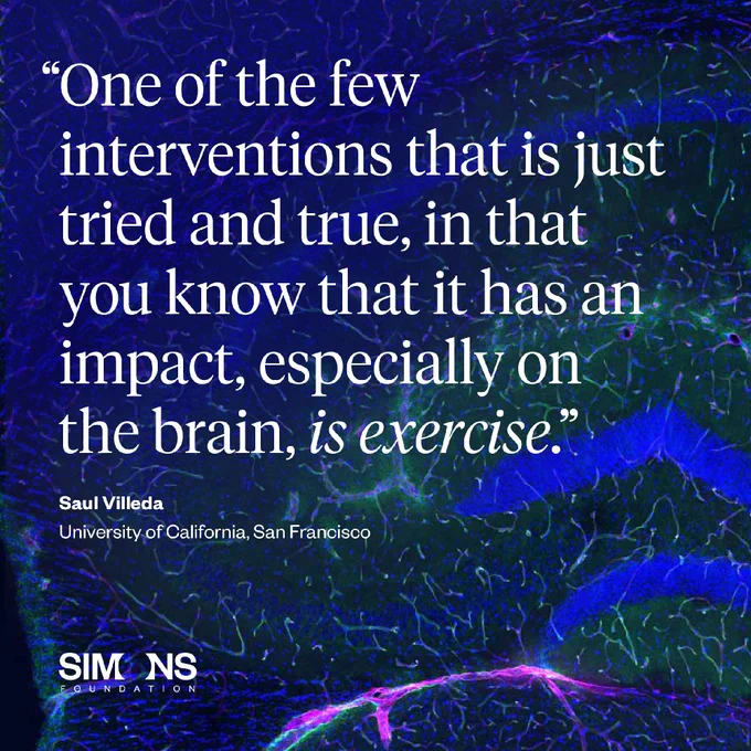 quote from Saul Villeda: "“One of the few interventions that is just tried and true, in that you know that it has an impact, especially on the brain, is exercise,”