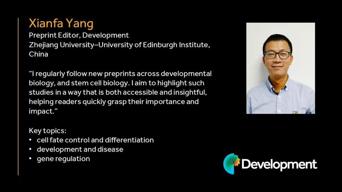 Profile card for Xianfa Yang, Preprint Editor (Development) at Zhejiang University–University of Edinburgh Institute, China. The card includes a quote about following developmental biology and stem cell preprints and highlighting studies to make them accessible and insightful. Key topics listed are cell fate control and differentiation, development and disease, and gene regulation. On the right, a portrait shows a person wearing glasses and a light-colored shirt against a plain background. The Development journal logo appears at the bottom.