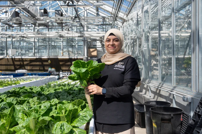 ‌Aya Hussain in a greenhouse with plants.