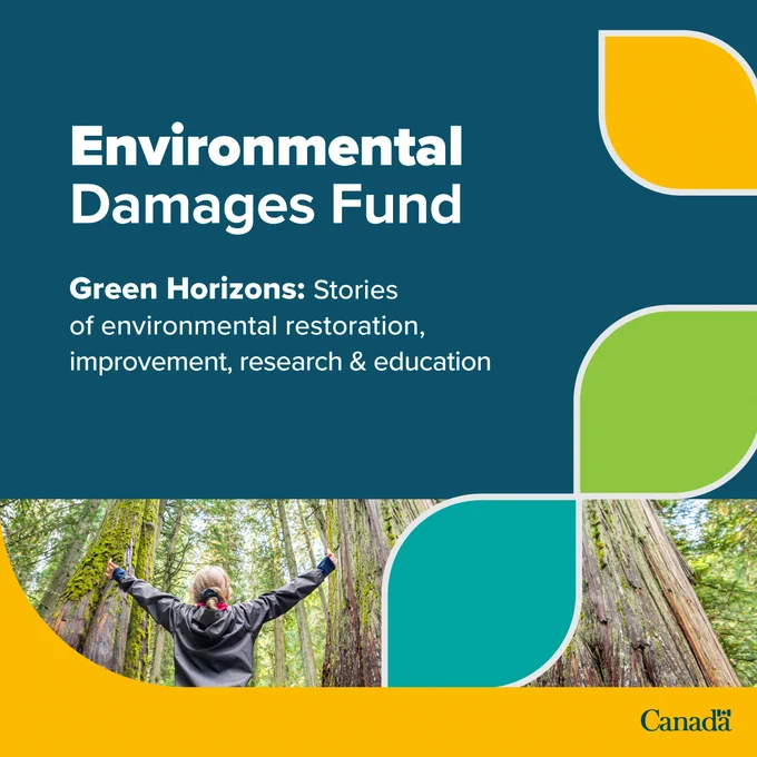Graphic with white text on blue background that reads "Environmental Damages Fund, Green Horizons: Stories of environmental restoration, improvement, research & education" above an image of a person standing among tall forest trees with their arms raised. The Government of Canada wordmark appears in the lower-right corner.