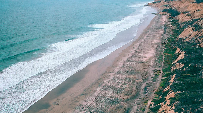 Torrey Pines State Reserve, United States_maria-orlova-F-1LrDh_Zx8-unsplash