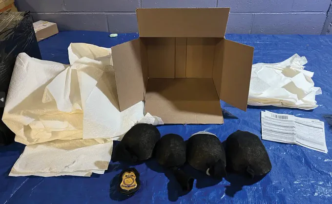 Evidence photo showing an open cardboard shipping box, packing paper, and four dark fabric-wrapped turtles laid out on a blue tarp. A U.S. Fish and Wildlife Service badge and shipping documents are displayed beside the materials.