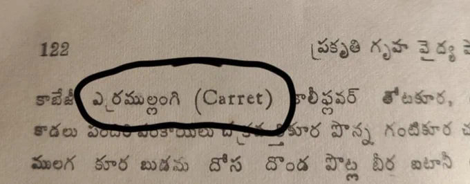 ౧౯౮౦ నాటి పొత్తంలో క్యారెట్‌ను "ఎర్రముల్లంగి" అని వ్రాసారు.