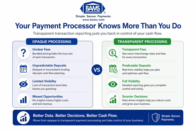 Opaque vs transparent payment processing comparison showing differences in fees, deposit timing, and transaction visibility for eCommerce businesses