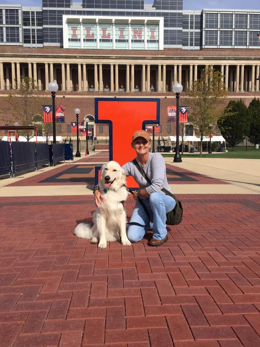 Sampson, a fluffy white Golden retriever wearing a red service dog vest is sitting in front of a large orange "I", with the Illini football stadium behind him,  and Mom is kneeling next to him, wearing jeans and a gray long sleeve shirt and ball cap, with a cross body bag and smiling. 