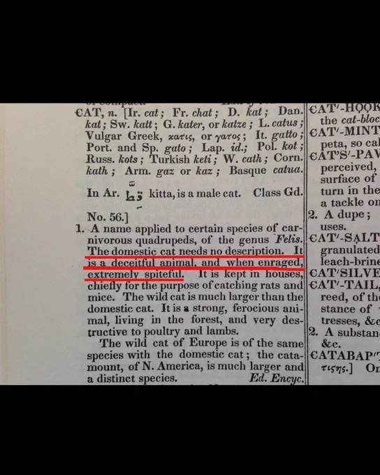 1828 Webster Dictionary definition of 'cat'


the cat-bloc
CAT, n. [Ir. cat; Fr. chat; D. kat; Dan. CAT-HOOK kat; Sw. katt; G. kater, or katze; L. catus; Vulgar Greek, xaris, or yaros; It. gatto; CAT-MINT Port. and Sp. gato; Lap. id.; Pol. kot; peta, so cal Russ. kots; Turkish keti; W. cath; Corn. CAT'S'-PAW kath; Arm. gaz or kaz; Basque catua.
3
In Ar. kitta, is a male cat.
Class Gd.
perceived, surface of turn in the
a tackle on 2. A dupe;
uses.
CAT-SALT granulated leach-brine CAT SILVE
No. 56.] 1. A name applied to certain species of car- nivorous quadrupeds, of the genus Felis. The domestic cat needs no description. It is a deceitful animal, and when enraged, extremely spiteful. It is kept in houses, chiefly for the purpose of catching rats and CAT-TAIL, mice. The wild cat is much larger than the domestic cat. It is a strong, ferocious ani- mal, living in the forest, and very des- tructive to poultry and lambs.
The wild cat of Europe is of the same
reed, of the stance of tresses, &c