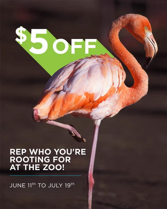 A vibrant flamingo stands on one leg against a blurred background. There is bold white text offering a $5 discount, with the phrase “Rep who you’re rooting for at the zoo!” and dates "June 11th to July 19th" beneath.