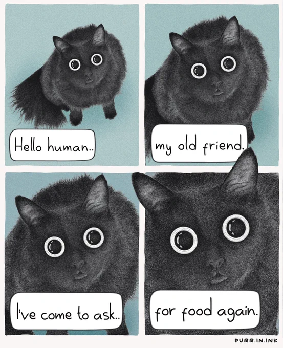 A four-panel comic featuring a fluffy black cat with very large round eyes, shown getting progressively closer to the viewer in each panel against a pale blue background. The cat says, “Hello human..” then “my old friend.” followed by “I’ve come to ask..” and finally, in an extreme close-up, “for food again.”