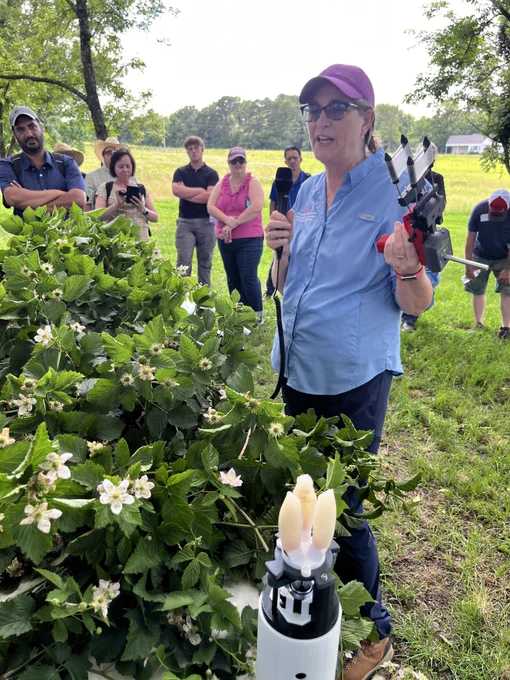 Renee Threlfall holding her "force gun" that measures the force needed to pluck a blackberry.