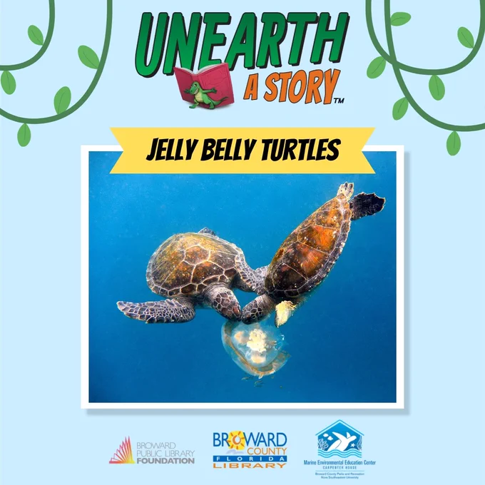 Graphic on a light blue background with hanging green vines. The top features the logo "Unearth a Story" with a cartoon alligator reading a book. Below, a yellow banner reads "JELLY BELLY TURTLES" above a central photograph of two sea turtles swimming in deep blue water, leaning toward each other as they feed on a translucent jellyfish. Logos for Broward Public Library Foundation, Broward County Library, and Marine Environmental Education Center appear across the bottom.