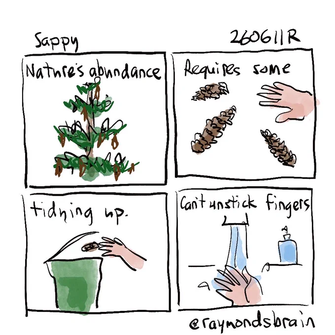 Pine tree; pine cones on ground; tossing cone into compost; washing hand