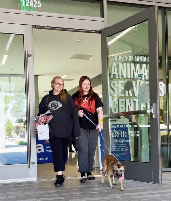 Two people walk out of an Animal Services Center with a dog on a leash.