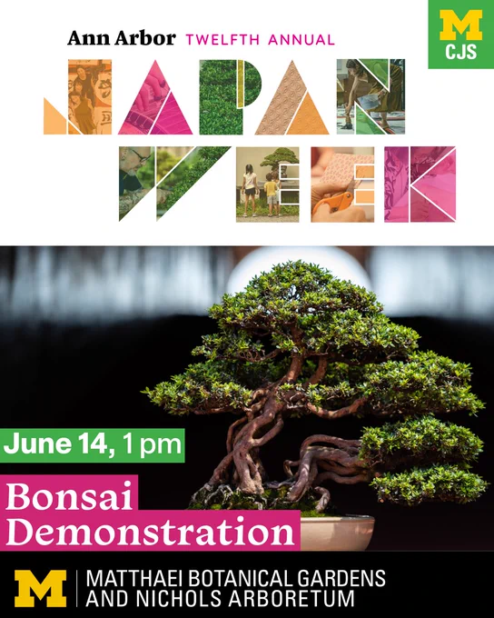 Graphic promoting Ann Arbor Japan Week, reading: June 14, 1 pm, Bonsai Demonstration, Matthaei Botanical Gardens. Features a photo of a bonsai tree.
