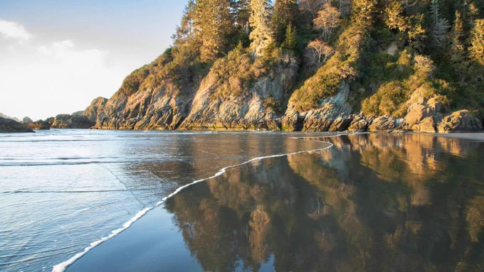 A wide-angle coastal scene at Moonstone Beach near Trinidad, Humboldt County, California. A rocky headland dominates the upper right portion of the frame, its cliff face covered in dense conifer forest with warm afternoon light illuminating the treetops in gold and amber. The cliff base is rugged exposed rock in rust and brown tones. A thin arc of white foamy wave surge curves diagonally across the lower portion of the frame from left to right, partially receded onto the flat, mirror-like wet sand. The sand reflects the cliff, trees, and sky in high-fidelity mirror tones. The sky at upper left is pale and bright with soft clouds, transitioning to warm blue in the upper left corner. The water is still and glassy where the wave has receded. The overall palette blends cool sandy reflections with the warm tones of sunlit conifers and rock. Horizontal composition, low afternoon sun. Moonstone Beach, Trinidad, Humboldt County, California. February 2022.