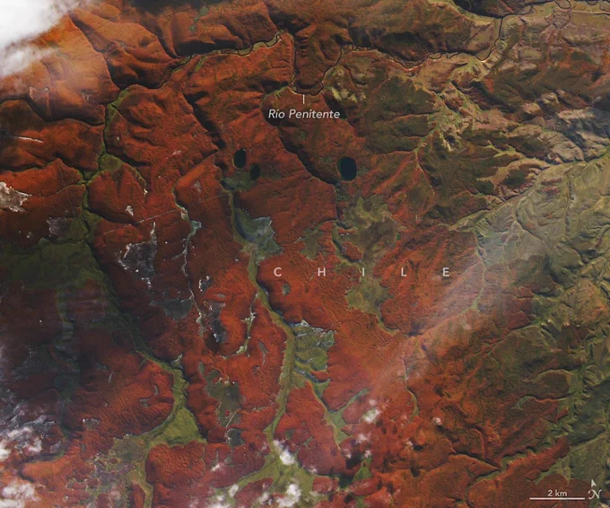 Una vista satelital de una zona montañosa cerca del río Penitente, donde los tonos rojizos, verdes y ocres revelan el relieve del terreno, valles estrechos, pequeñas lagunas y áreas de vegetación en la región de Magallanes, al sur de Chile.  

Crédito: Observatorio de la Tierra de la NASA/Lauren Dauphin 