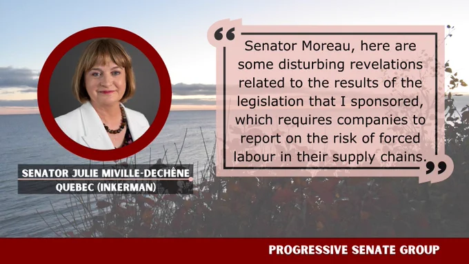 "Senator Moreau, here are some disturbing revelations related to the results of the legislation that I sponsored, which requires companies to report on the risk of forced labour in their supply chains." Senator Julie Miville-Dechêne, Quebec (Inkerman), Progressive Senate Group
