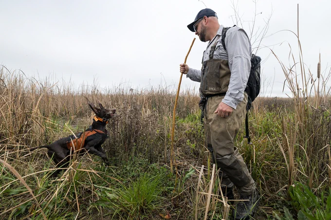 A Nutria Scat Detection Team visits the California Department of Water Resources (DWR) Dutch Slough Tidal Habitat Restoration Project to survey for the presence of invasive nutria in the Sacramento-San Joaquin Delta. Photo taken February 26, 2026.