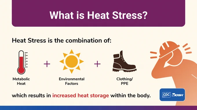 infographic on what is heat stress? Heat stress is a combination of: metabolic heat   environmental factors   clothing/PPE which results in increased heat storage within the body with the CDC NIOSH logos