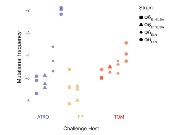  Mutational frequencies. Mutational frequency of ERA-adapted strains on challenge hosts ATRO (blue), PP (gold), and TOM (red). Results normalized against PFU per milliliter of same lysates on ERA (n = 3). Mutation frequency = log10(PFU/mL on challenge host) − log10(PFU/mL on ERA).