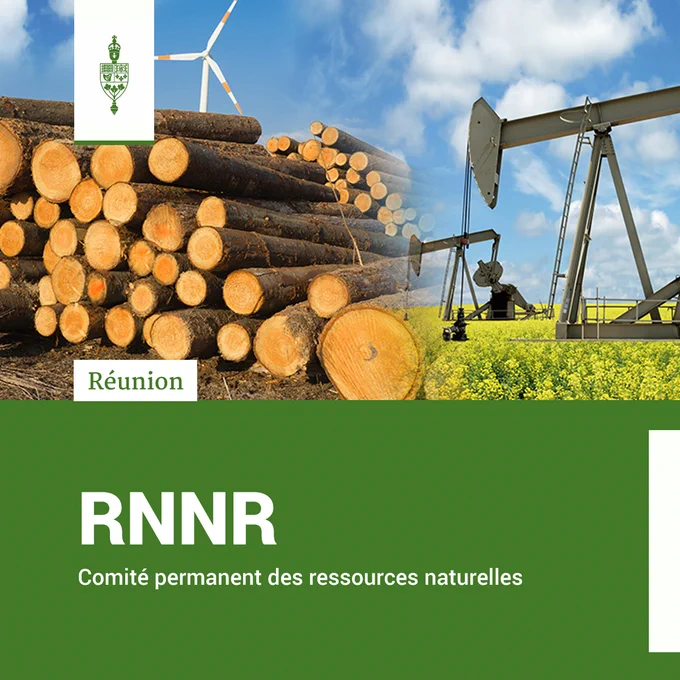 Une pile de rondins, une éolienne et une plate-forme de forage pétrolier.

Réunion	
RNNR	
Comité permanent des ressources naturelles