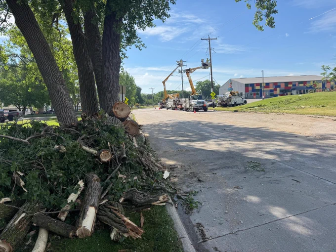 WPS utility crews work on overhead power lines behind a pile of large tree limbs and branches on a sunny day.