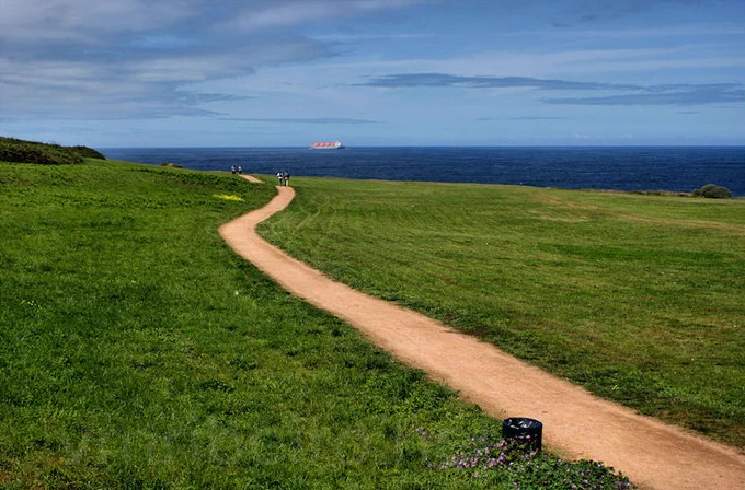 Trilho de terra entre vegetação baixa, conduzindo em direção ao mar. O céu está claro e a luz é suave. A linha do horizonte é visível ao fundo.