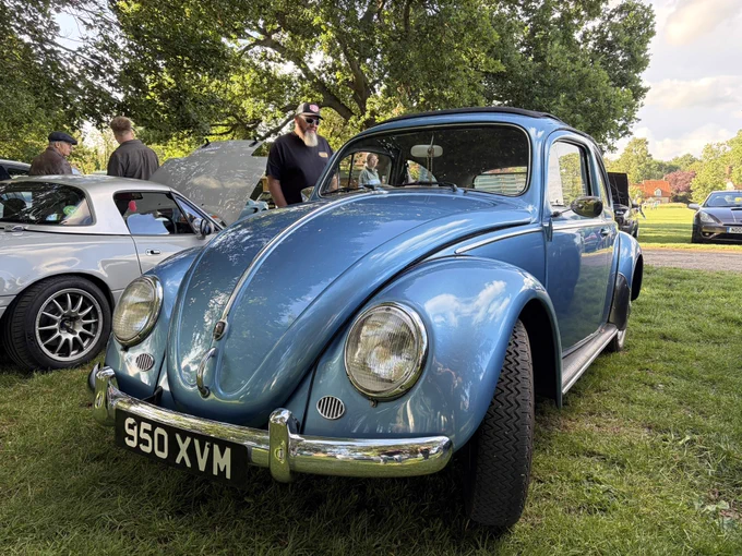 Love Bugs ❤️ There is treatment available, which is nice - http://miniphernalia.co.uk #VWVeetle #VWBug