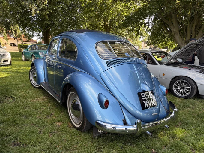 Love Bugs ❤️ There is treatment available, which is nice - http://miniphernalia.co.uk #VWVeetle #VWBug