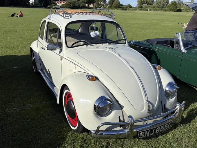 Love Bugs ❤️ There is treatment available, which is nice - http://miniphernalia.co.uk #VWVeetle #VWBug