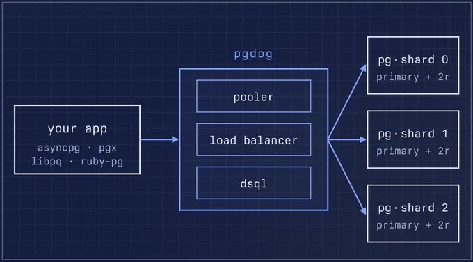 Schema pgDog