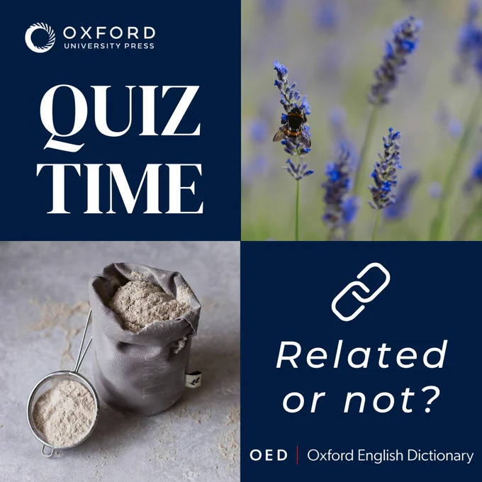 Quiz Time: are flower and flour related? Photos of flowers and flour. Oxford University Press.