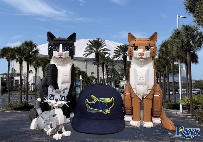 A navy blue Tampa Bay Rays baseball cap, with HATS and LIDS the Lego Cats and CAPS the Lego Kitten in front of Tropicana Field
