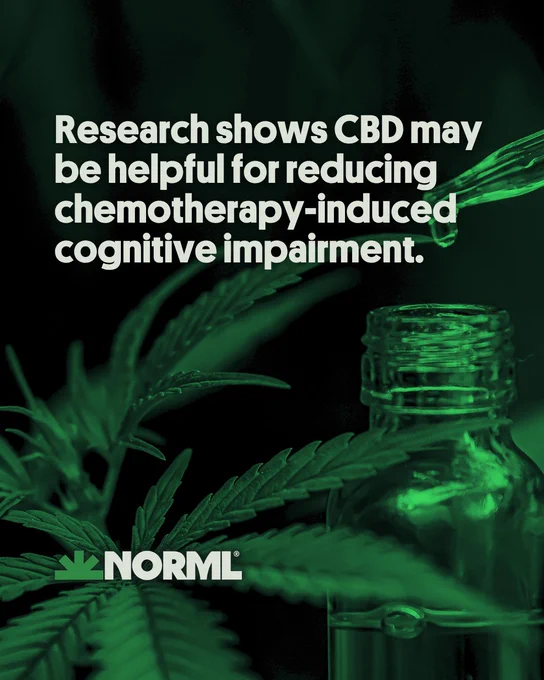 Headline reads, "Research shows CBD may be helpful for reducing chemotherapy-induced cognitive impairment." A dropper dispenses liquid into a bottle beside cannabis leaves.